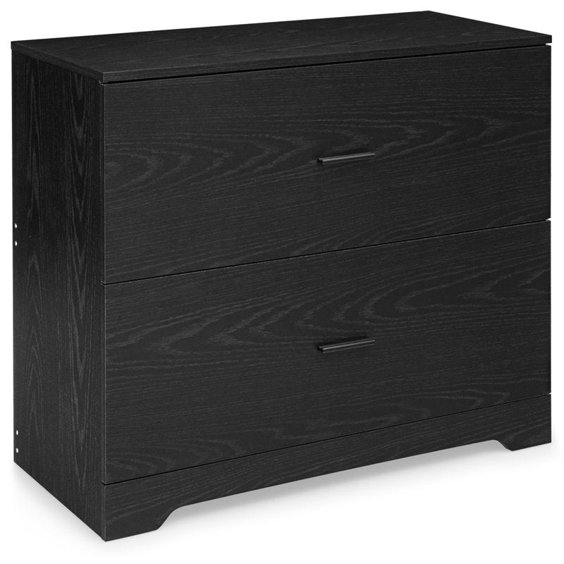2-Drawer Lateral File Cabinet for Home Office, Adjustable Steel Bars, Black