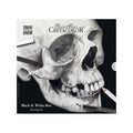 Cretacolor Skull Edition Black & White Drawing Set - 25 High-Quality Art Tools