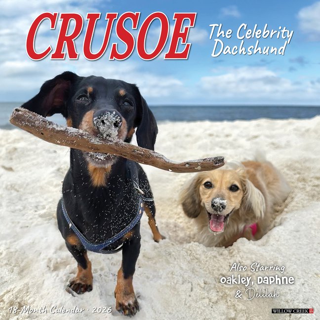Crusoe the Celebrity Dachshund 2026 Wall Calendar - Adorable Dog Humor