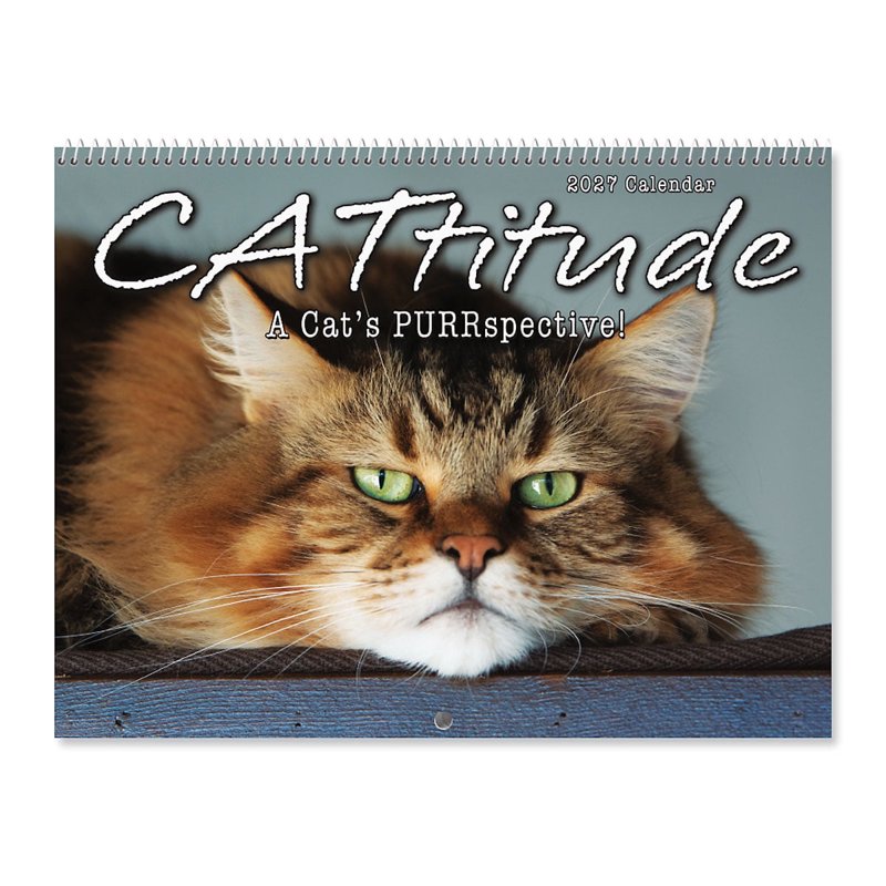 Current 2027 Cat Wall Calendar - Spiral-Bound Monthly Organizer for Kitchen & Office