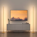 Set of 2 LED Corner Floor Lamps Dimmable Standing Lamps for Living Room Bedroom Office 3000K Gold & Black
