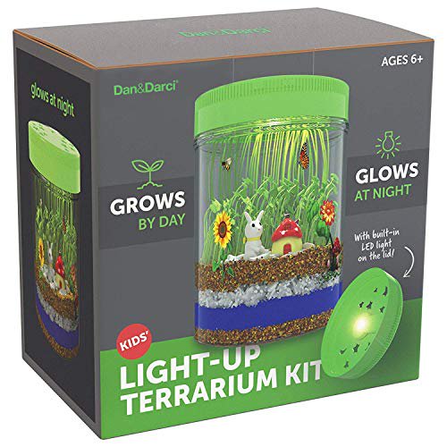 LED Light-Up Terrarium Kit for Kids Educational Science Craft Set - Grow Plants & Create Magical Display