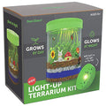 LED Light-Up Terrarium Kit for Kids Educational Science Craft Set - Grow Plants & Create Magical Display