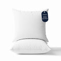 Delara 22x22 Pillow Inserts Set of 2 - Organic Cotton Shell, Recycled Down Fill