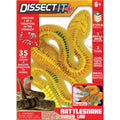 Kids Dissection Kit Rattlesnake Science Set with Realistic Anatomy & Tools
