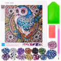 Kids & Adults DIY 5D Diamond Painting Kits - Owl, Cat, Elk, and More Colors