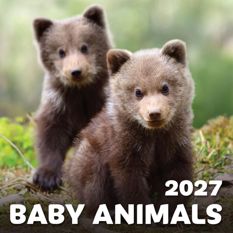EcoEarth 12-Month Vertical Wall Calendar Baby Animals 11x17 Jan 2027-Dec 2027