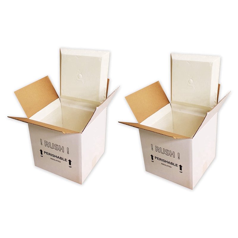 Insulated Shipping Cooler Pack of 2 – 11 x 9 x 9 Inches, Reusable Food & Temperature Shipping Box