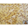 Faux Fur Long Pile 2 Tone Spike Fabric - 60 Inches Wide, Sold by the Yard