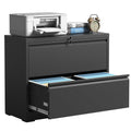 Metal 2 Drawer Lateral File Cabinet with Lock for Office & Home Black