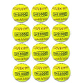 12-Inch Practice Softballs - Official Size & Weight for Baseball and Softball Training - 12 Pack