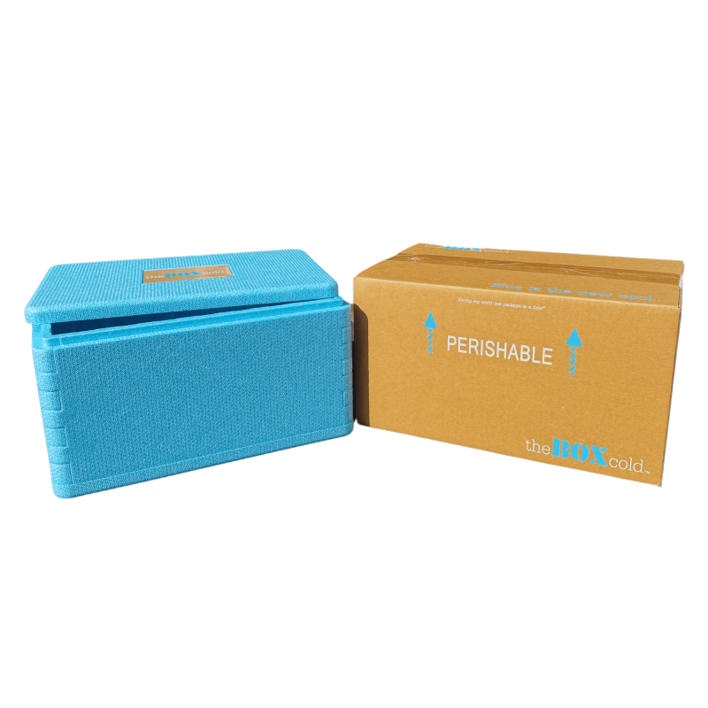 Insulated Cold Shipping Box with Foam Cooler - Reusable & Recyclable, 17 ³⁄₁₆ x 10 ³⁄₁₆ x 8 ¼ Inches