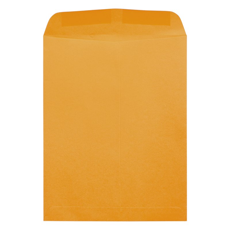 Brown Kraft Manila Catalog Envelopes 12x15.5 Inches, 100 Pack