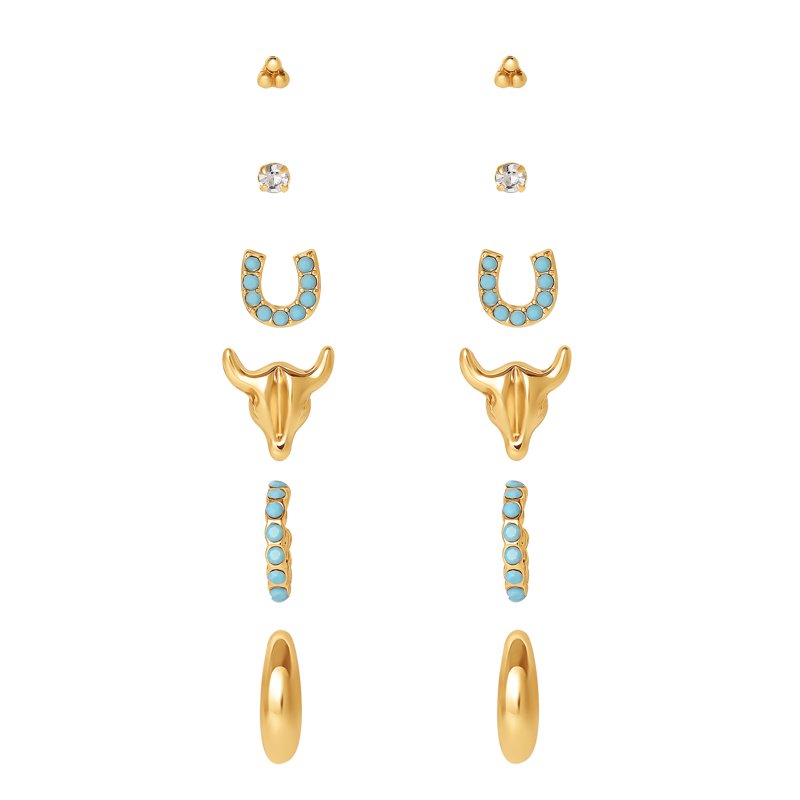 Women’s Faux Turquoise Earrings Set - 6 Pairs Fashion Stud & Drop Earrings