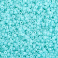 Czech Glass Seed Beads 10/0 - Bulk 500g for Jewelry Making & Crafts