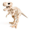Joyfy 13.35" Posable Tyrannosaurus Rex Skeleton – Dinosaur Skeleton Decoration (Variation: Dinosaur)