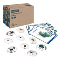 Educational Bug Specimen Stones Set - 9 Pieces for Early Learning