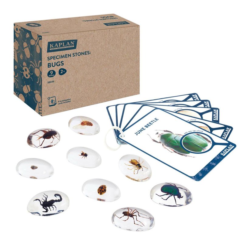 Educational Bug Specimen Stones Set - 9 Pieces for Early Learning
