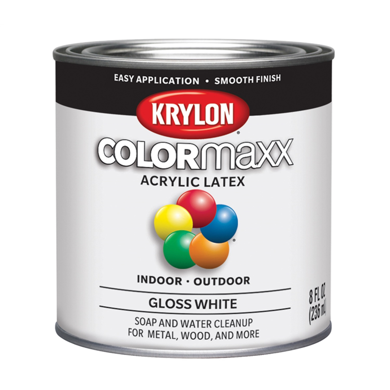 White Gloss Art Paints & Pigment Powders - 0.5 Pint Craft Paint