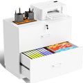 Lockable Wood Filing Cabinet with 2 Drawers for Home Office, Fits Letter Legal Files