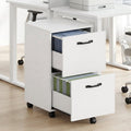 Mobile File Cabinet with 2 Drawers - Office Storage with Locking Casters, Supports A4 & Letter Files, White