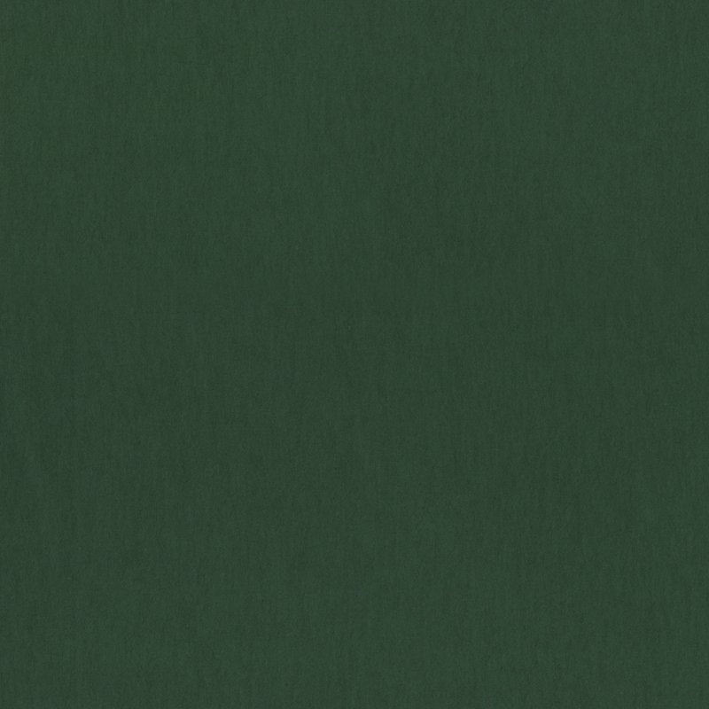 Lightweight Cotton Flannel Fabric - Precut 1.5 Yards Solid Forest Green
