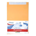 Brown Kraft Envelope 10x13 Inches - Press-It Seal-It Office Pack