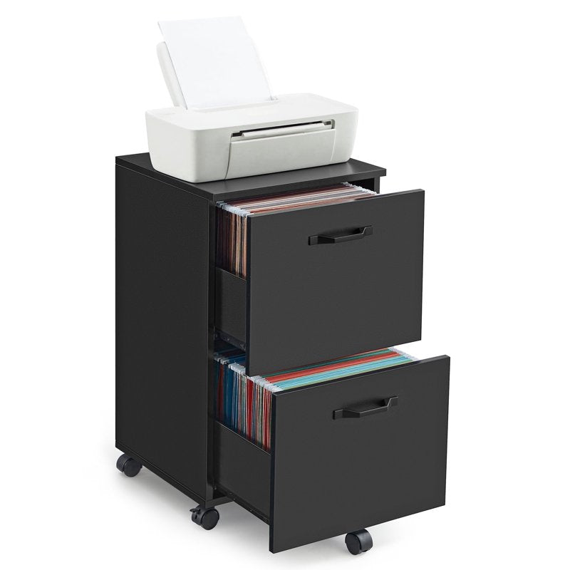 Small Rolling File Cabinet with 2 Drawers for Home Office Storage