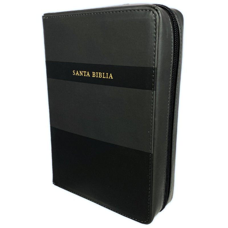 Bible Organizer with Notes & Tabs, Large Print, RV1960, Black