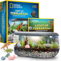 Kids Dinosaur Terrarium Kit with Real Plants Gemstones Light-Up Lid