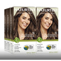 Natural Permanent Hair Color Kit - 6 Pack, Light Golden Chestnut & More