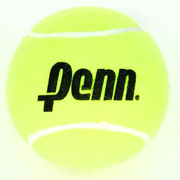 Oversized 4 Inch Tennis Ball for Display and Play - Jumbo Tennis Ball