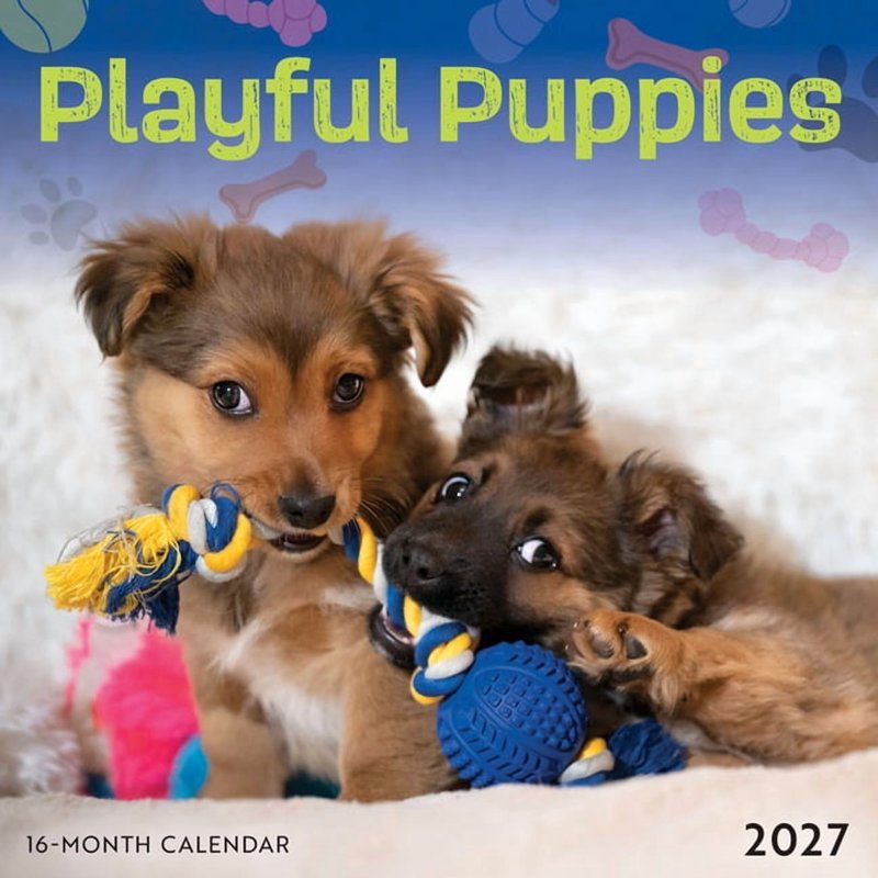 Playful Puppies 2027 Mini Wall Calendar - Adorable Furry Pet Decor