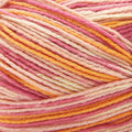 Fruits Self-Patterning Sock Yarn - Bright Colors, Acrylic & PBT Blend