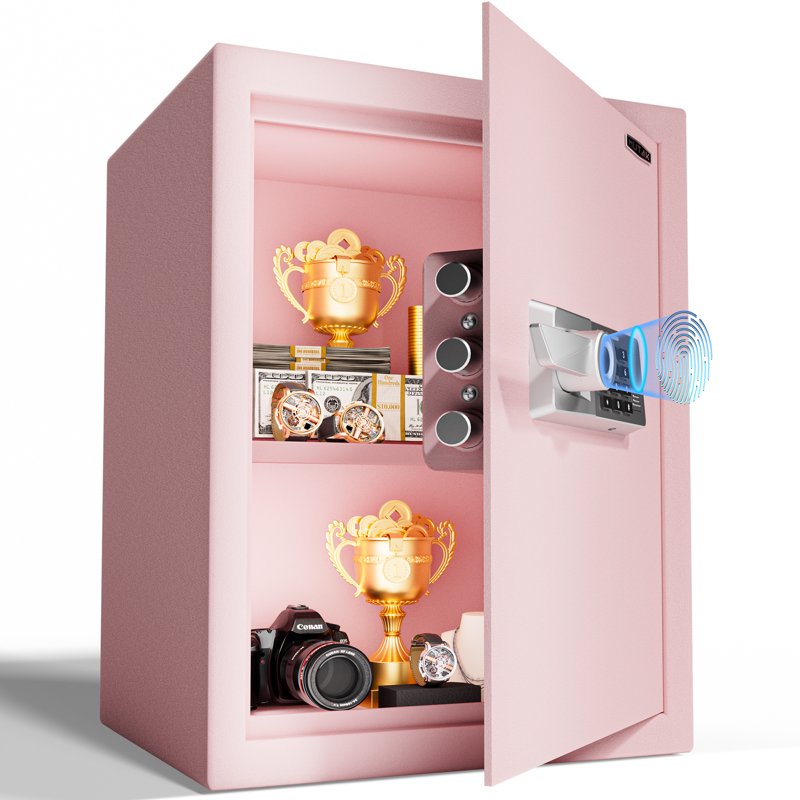 Biometric Safe Box with Fingerprint, Code, Keys & Type-C - Fireproof Storage
