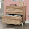 Sauder Bergen Circle 2-Drawer Lateral File Cabinet - Kiln Acacia Finish