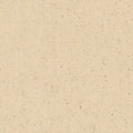 Natural Cotton Canvas Fabric by the Yard - 48 Inch, 10 oz, Beige