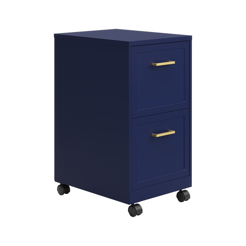 Mobile Steel File Cabinet with 2 Deep Drawers for Office & Home Organization
