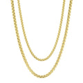 Stainless Steel Chain Set 20 & 22 Inch Layered Jewelry with Lobster Clasps
