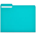Letter Size File Folders with 1/3 Cut Tabs - Vibrant Teal, 100 Pack