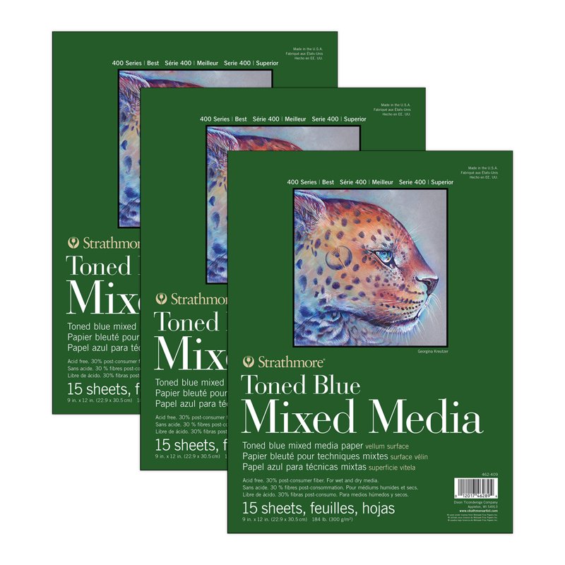 Strathmore 400 Series Mixed Media Pad Toned Blue 15 Sheets 9x12 Inch Pack of 3