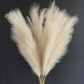 Faux Pampas Grass Stems - 43.3 Inches Tall, Fluffy, Lifelike Home Decor