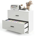 2-Drawer File Cabinet with Adjustable Steel Bars for Office & Home Storage