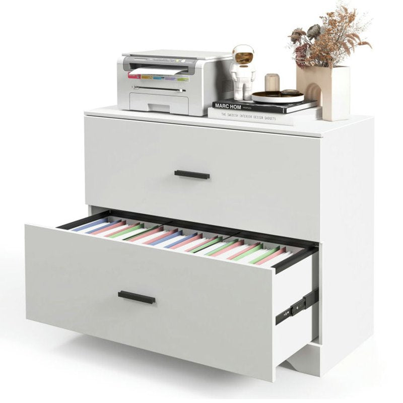 2-Drawer File Cabinet with Adjustable Steel Bars for Office & Home Storage