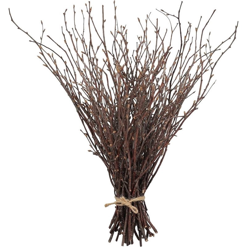 Dried Birch Twigs Branches for Vase Fillers and Decor - 20 Pack, Rustic Natural Look