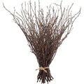 Dried Birch Twigs Branches for Vase Fillers and Decor - 20 Pack, Rustic Natural Look