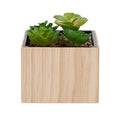 Diversion Safe Plant Pot with Combination Lock - Hidden Cash and Jewelry Storage