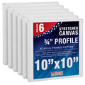 6-Pack Heavy-Weight 10x10 Inch Stretched Canvas for Painting - Triple Primed Cotton Art Supplies