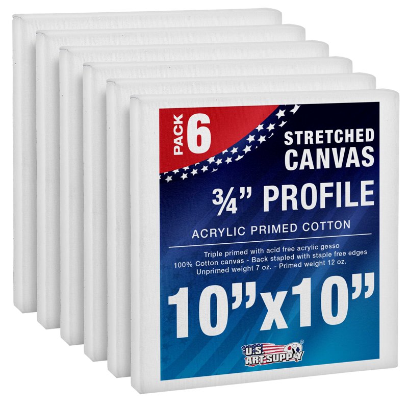 6-Pack Heavy-Weight 10x10 Inch Stretched Canvas for Painting - Triple Primed Cotton Art Supplies