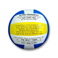 Kids Volleyball Ball - Indoor Outdoor Training Ball for Children - Diameter 8 Inches